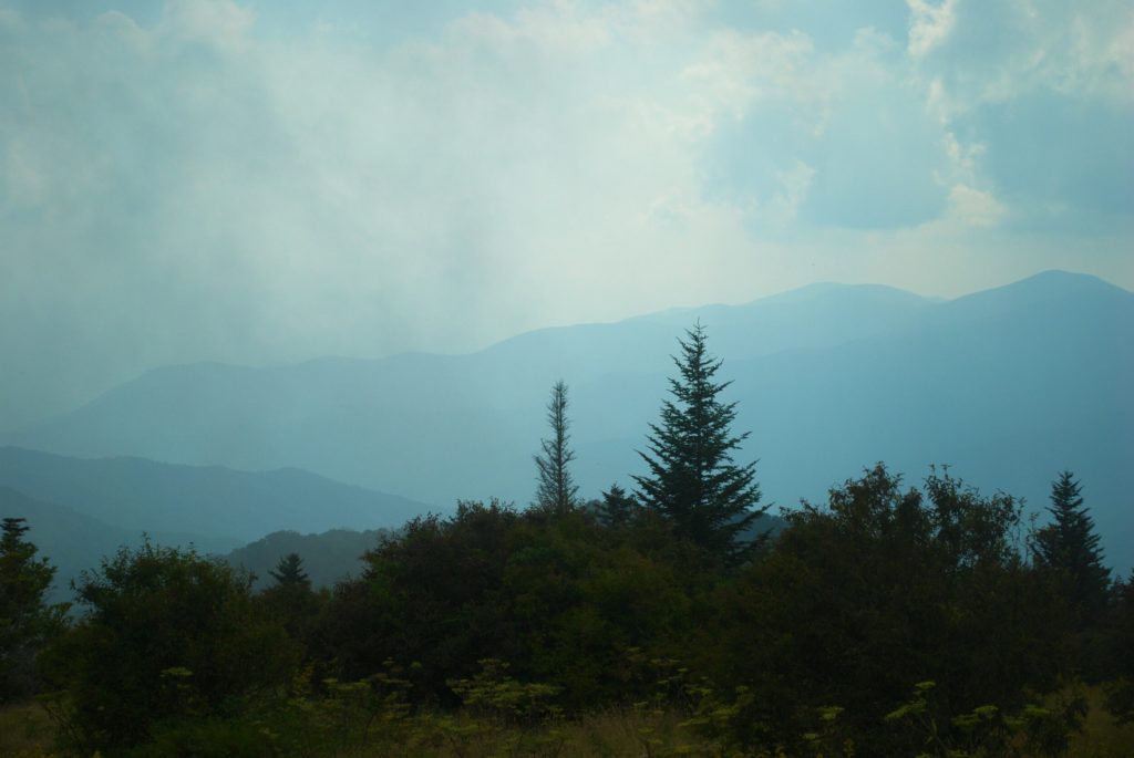 View of the Smokies from Andrews Bald
