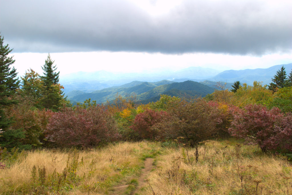view of the Smokies from Andrews Bald